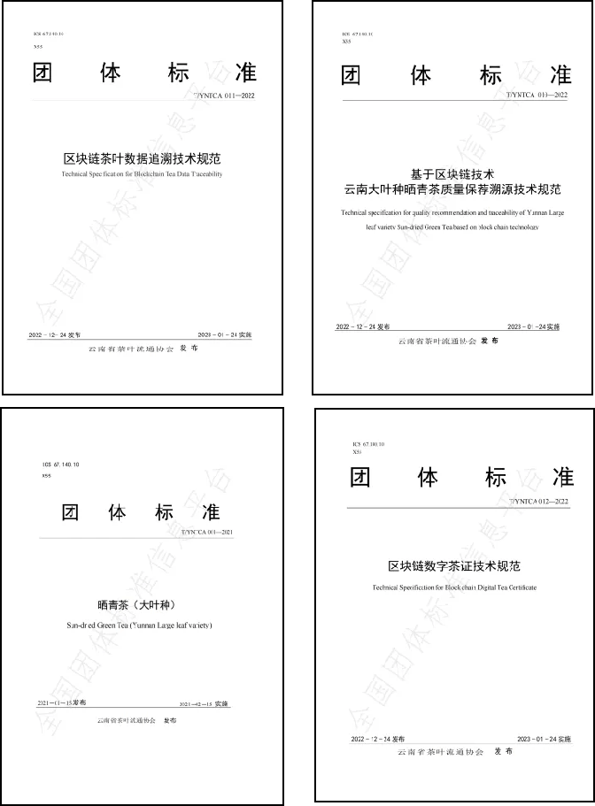 津乔“冰岛老寨1485古茶园”区块链数字存证源头质量保荐溯源正式启动