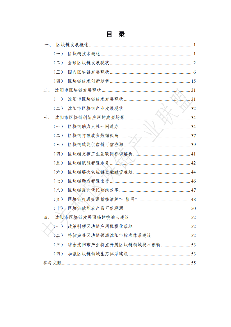 沈阳市区块链创新应用发展报告（2024年）