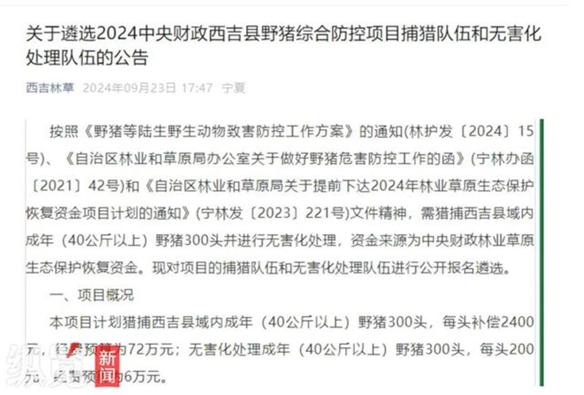 赏金猎人团已在南京捕获133头野猪，还差67头才能拿到每头二三千元补贴，他们真的很赚钱？